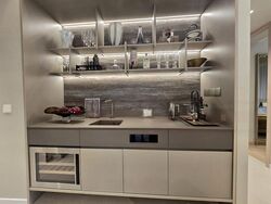 Havelock Road (D1), Apartment #462701111